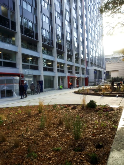 Massif nouvellement planté au pied d’un immeuble de bureaux