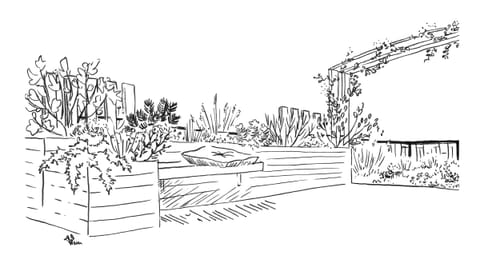 Croquis au trait de la terrasse : bacs plantés et pergola