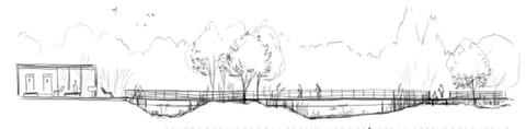 Coupe dessinée d’une passerelle surélevée qui franchit les bassins entre les arbres