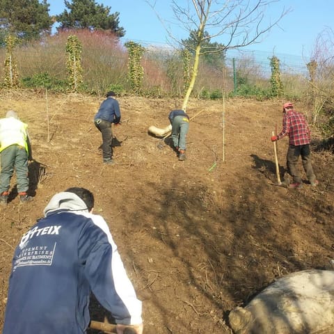 Chantier de plantation sur une berge