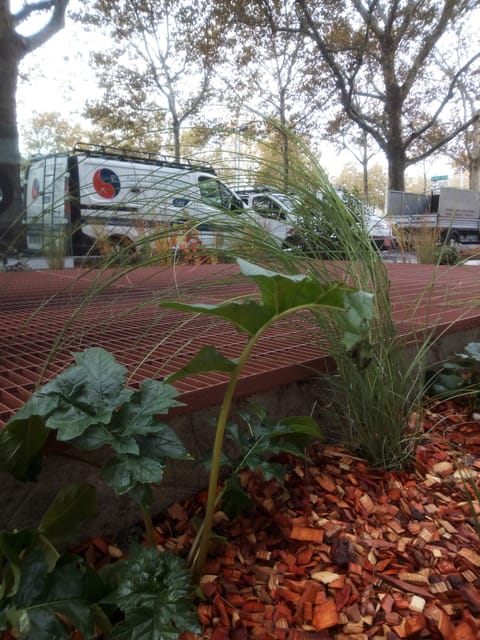 Caillebotis rouge et jeunes plantations au pied des façades