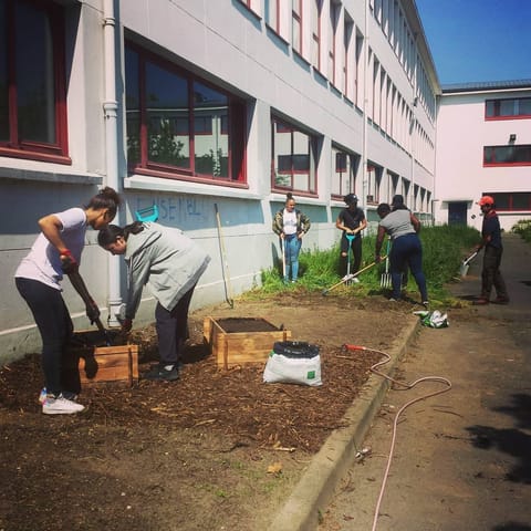 Des stagiaires plantent de jeunes végétaux dans un massif au pied d’un bâtiment