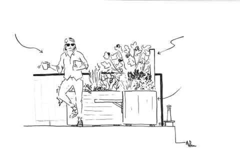 Croquis au trait : une femme accoudée à des bacs fleuris sur une terrasse
