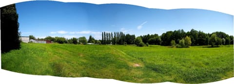 Panorama de la prairie existante bordée d’arbres