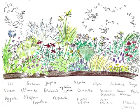 Croquis aquarellé : massif fleuri autour d’une pelouse ronde