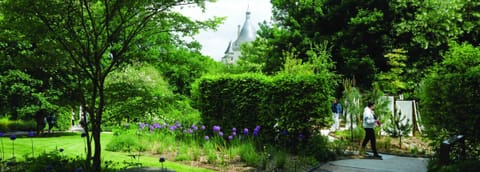 Path lined with alliums in the park of the Domaine de Chaumont-sur-Loire, a château tower behind