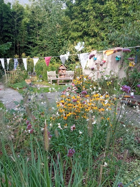 Massifs de rudbeckias et de vivaces le long d’une allée