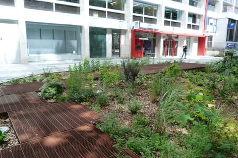 Caillebotis traversant des massifs plantés, immeubles en fond