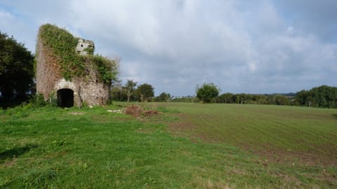 Ruine couverte de lierre au bord d’un champ