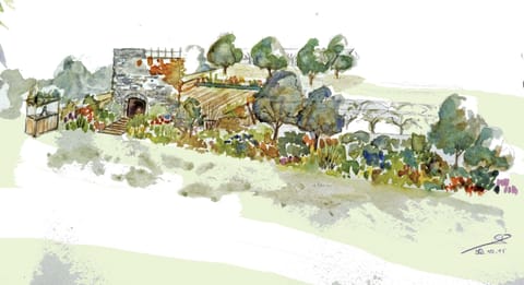 Croquis aquarellé : terrasse arborée et plantations