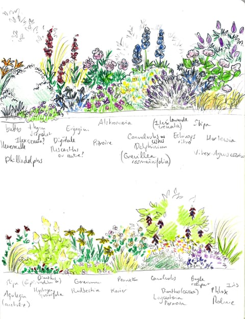 Planche de plantation : massif de vivaces et de graminées annoté