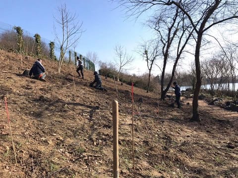Stagiaires en train de planter sur un talus